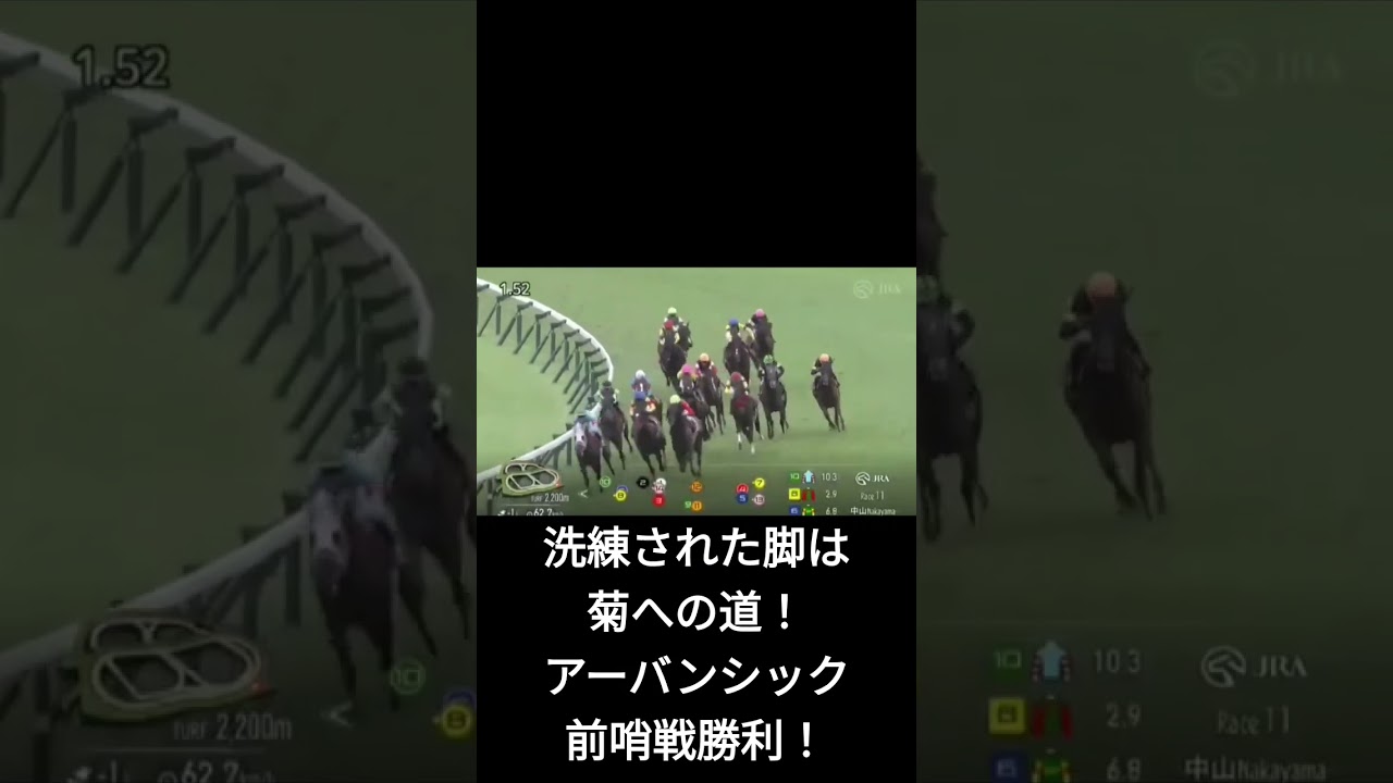 ショートで第78回朝日杯セントライト記念(菊花賞トライアル)#shorts