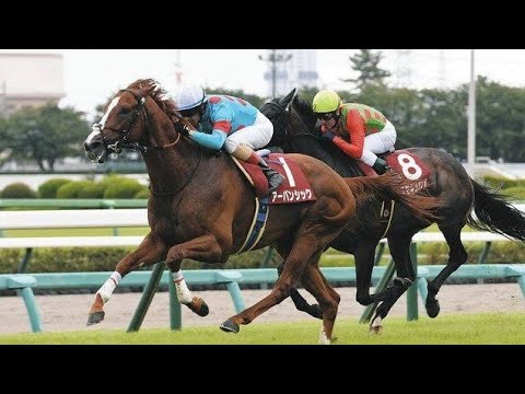 アンカツさん「菊花賞で再戦ならアーバンシックが優勢やろけど…」セントライト記念の勝ち馬評価も上位2頭は「互角やね」 Tokyo King