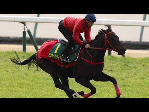 スプリンターズＳ】香港のビクターザウィナーとムゲンが来日　輸送は約９時間