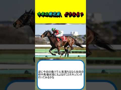 今年の菊花賞、どうなる？ #競馬 #競馬予想 #ダノンデサイル #アーバンシック #コスモキュランダ #ヘデントール #メイショウタバル #ピースワンデュック #エコロヴァルツ #プレリュードシチー