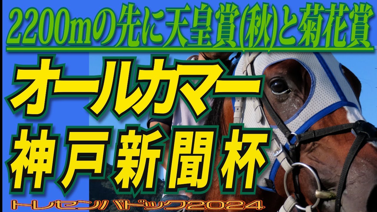 ２２００mの先に天皇賞(秋)と菊花賞【オールカマー】【神戸新聞杯】トレセンでの馬の状態確認！！ 競馬予想に役立つ！？ /  出走馬　トレセンパドック2024