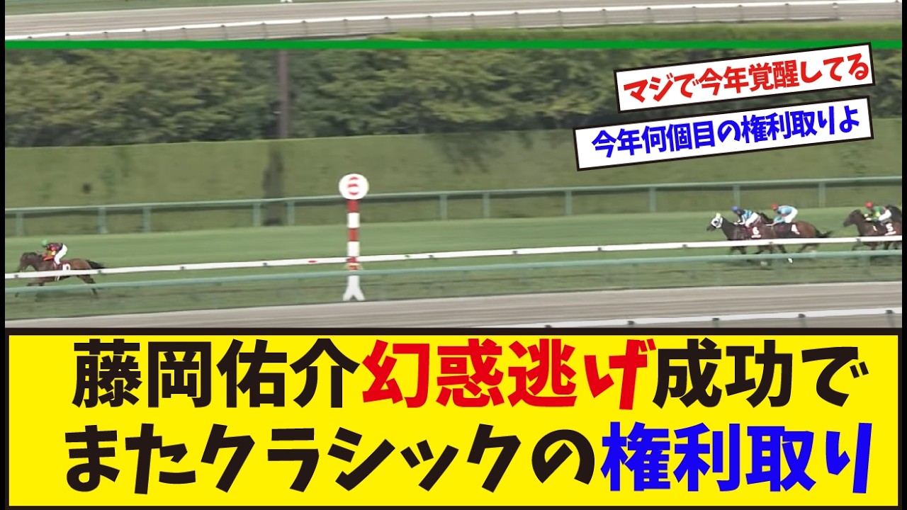 「ニイニイのガンギマリ騎乗」に対するみんなの反応集