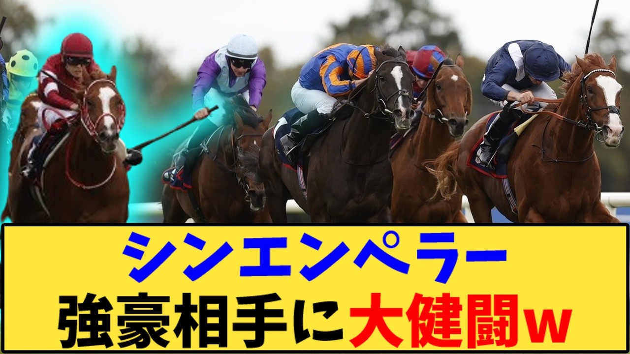 【競馬】「シンエンペラー愛チャンピオンSで3着の大健闘が話題に」に対する反応【反応集】