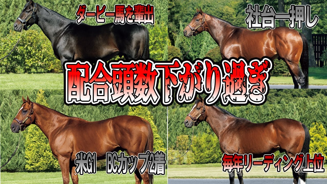 まさかの結果【2024年度】種牡馬減少率ランキング