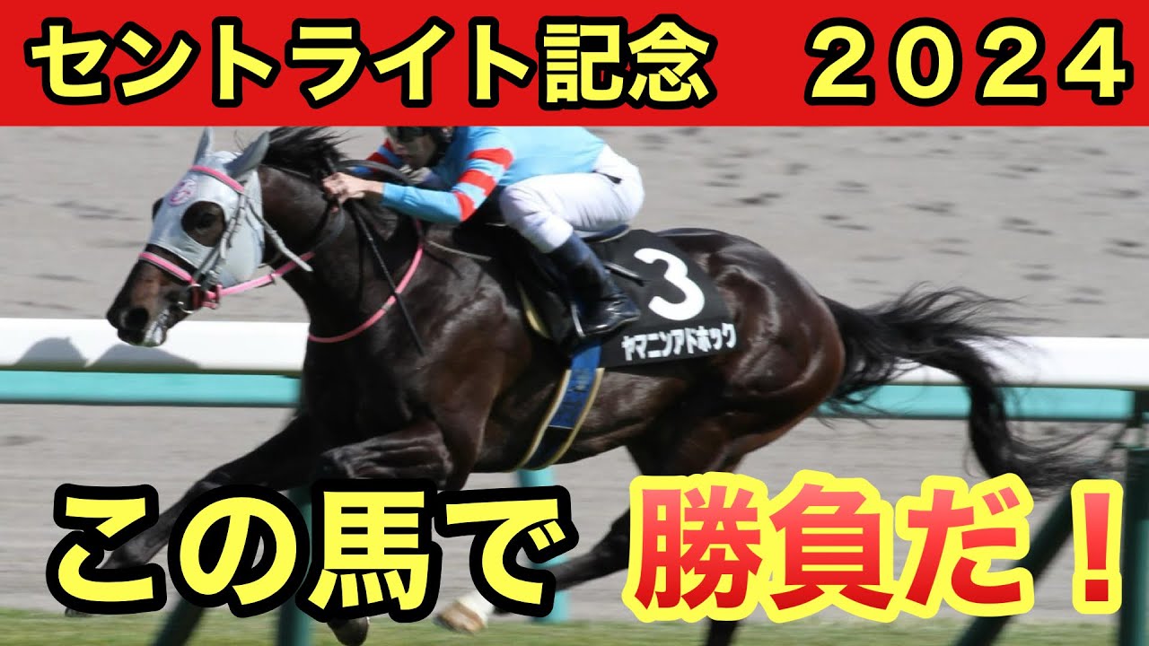 【セントライト記念2024・予想】本命馬は中山競馬場に実績がある馬！データ・予想を発表します！！