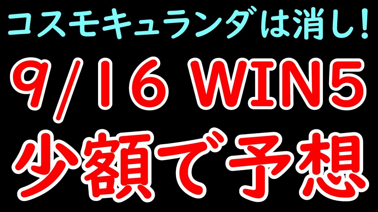 2024/9/16 展開位置取りからWIN5予想！ セントライト記念はコスモキュランダを消して勝負！【WIN5】