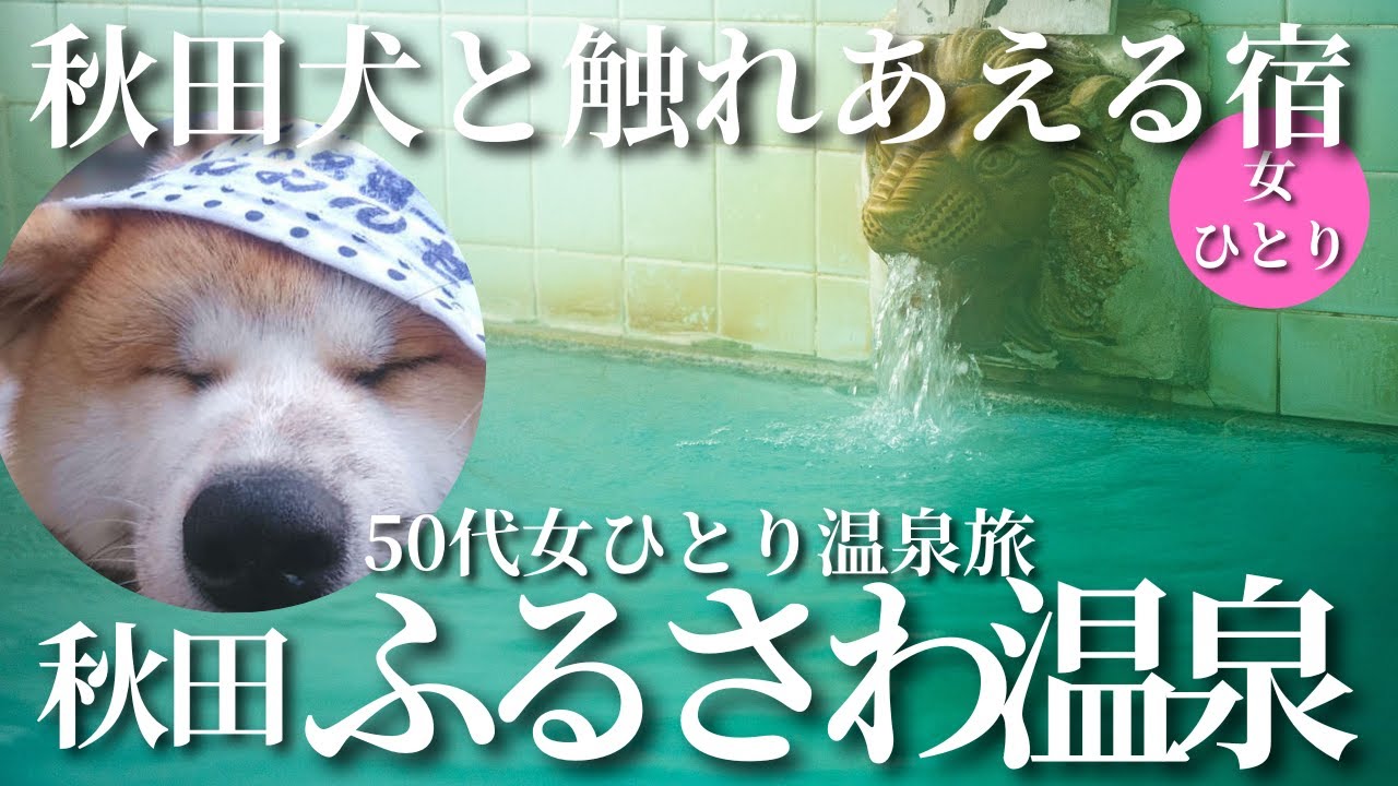 【50代女ひとり温泉旅】美人秋田犬がいる宿に泊まったら温泉も料理も素晴らしかった！【秋田県大館ふるさわ温泉】