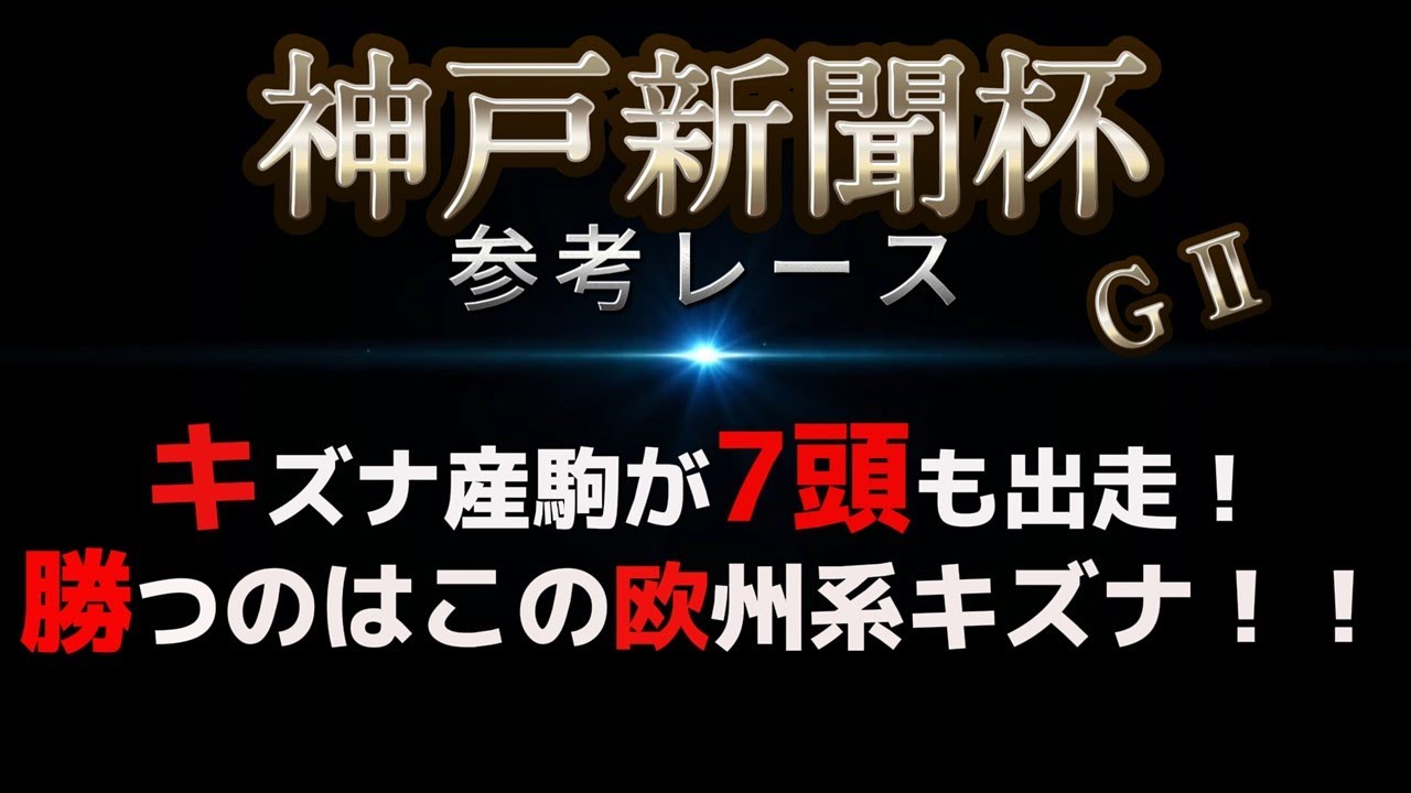 神戸新聞杯2024