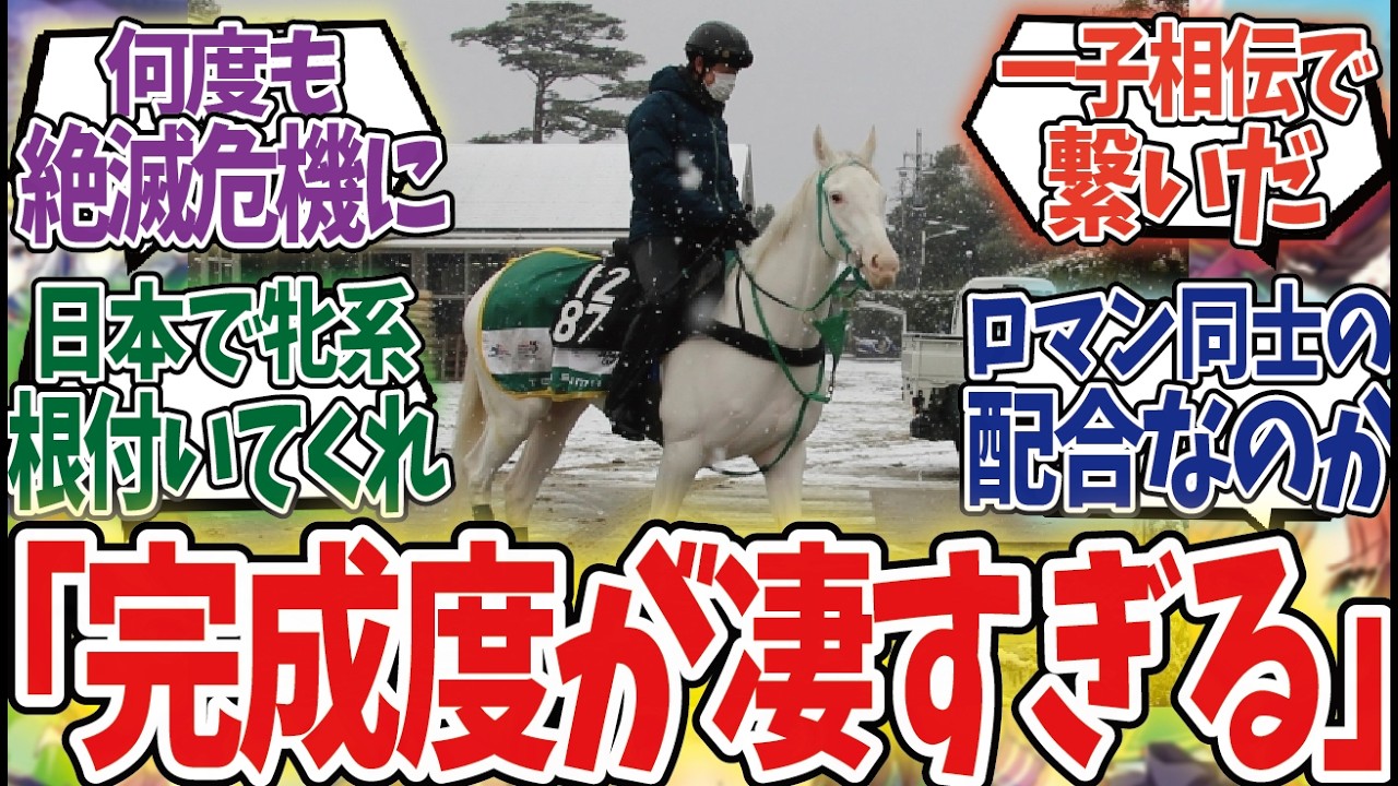「ゴージャスの母ちゃん、アメリカ人のロマンが繋いだ結晶だった」に対するみんなの反応集