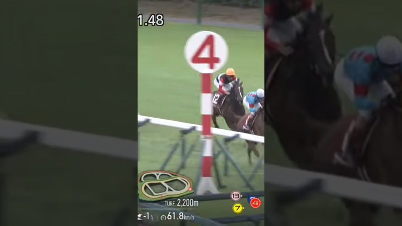 朝日セントライト記念(G2)2024 #jra騎手 #jra #horse #日本中央競馬会 #競馬 #競走馬 #中央競馬 #中山競馬場 #アーバンシック #コスモキュランダ #ルメール #ミルコ