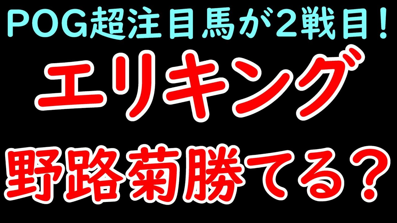 POG超人気エリキング 野路菊S勝てる？みんなの見解【反応集】【競馬】