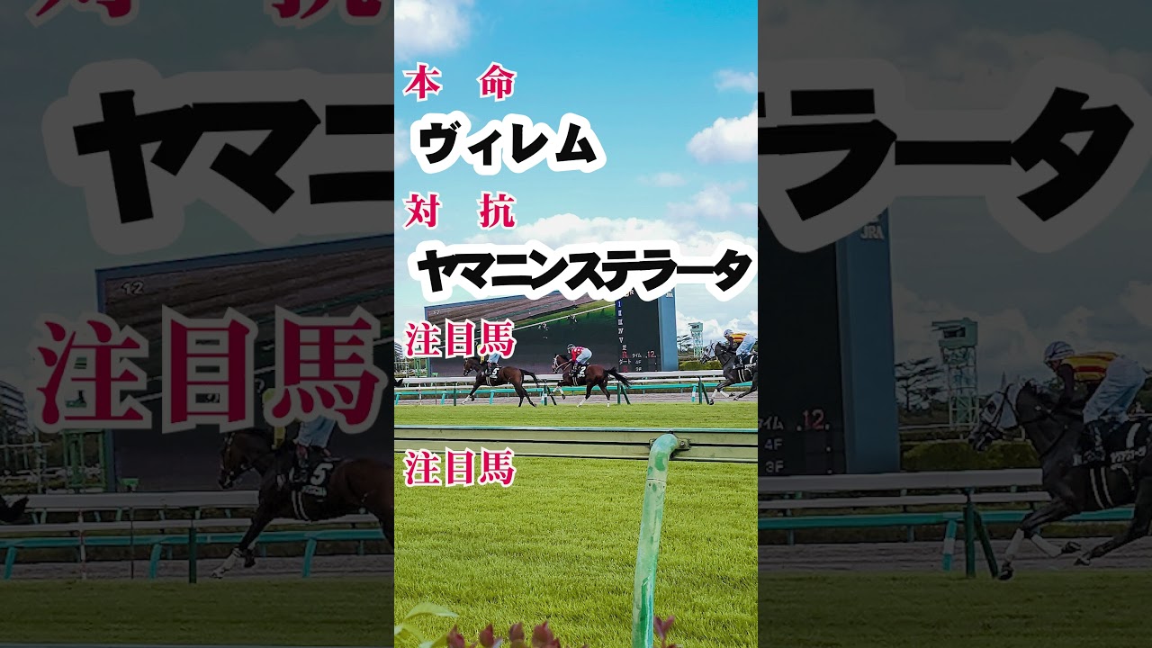 神戸新聞杯　G2　予想　#競馬 #神戸新聞杯