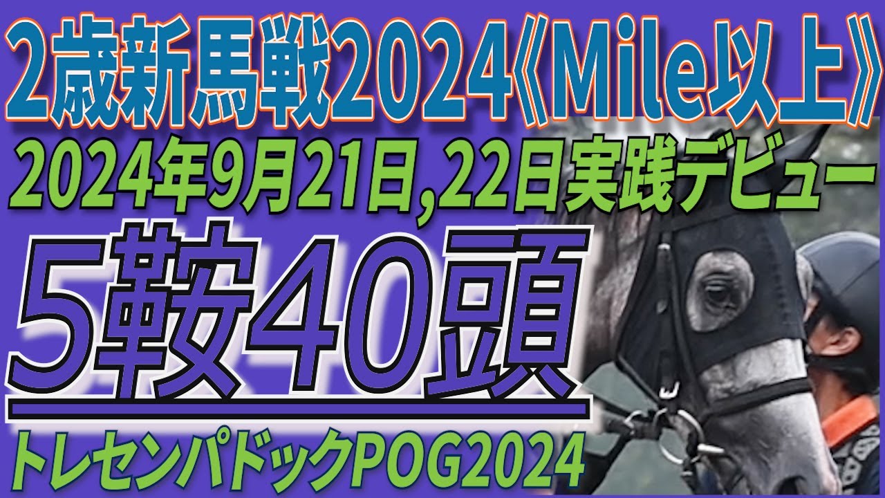 【2歳新馬戦2024】５鞍出走４０頭の若駒の姿を。《Mile以上》 2024年9月21日,22日実戦デビュー！トレセンパドックPOG2024　あなたの推しを見つけよう！（↓にチャプター有り）