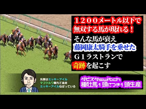 【#19】ダービースタリオン種牡馬から1頭ずつ生産「1200m限定の名馬誕生！藤岡康太騎手を乗せた奇跡の現役ラストラン」