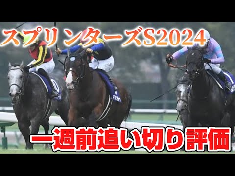 スプリンターズステークス2024 一週前追い切り評価