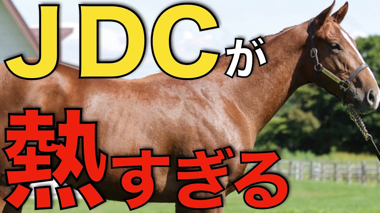 世界と日本のダービー馬が直接対決！ジャパンダートクラシックのメンバーが熱すぎる。