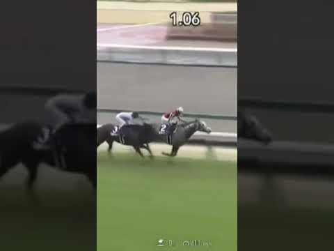 高松宮記念　ナムラクレア　アタマ差の２着　#競馬 #高松宮記念　#マッドクール　#ナムラクレア　#競馬好き #ショート #ショート動画 #short