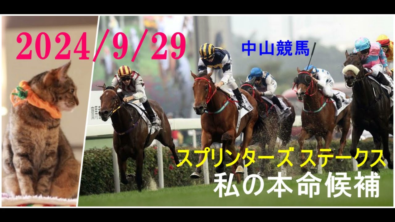 2024/9/29　中山競馬　スプリンターズ ステークス（ＧⅠ）私の本命候補