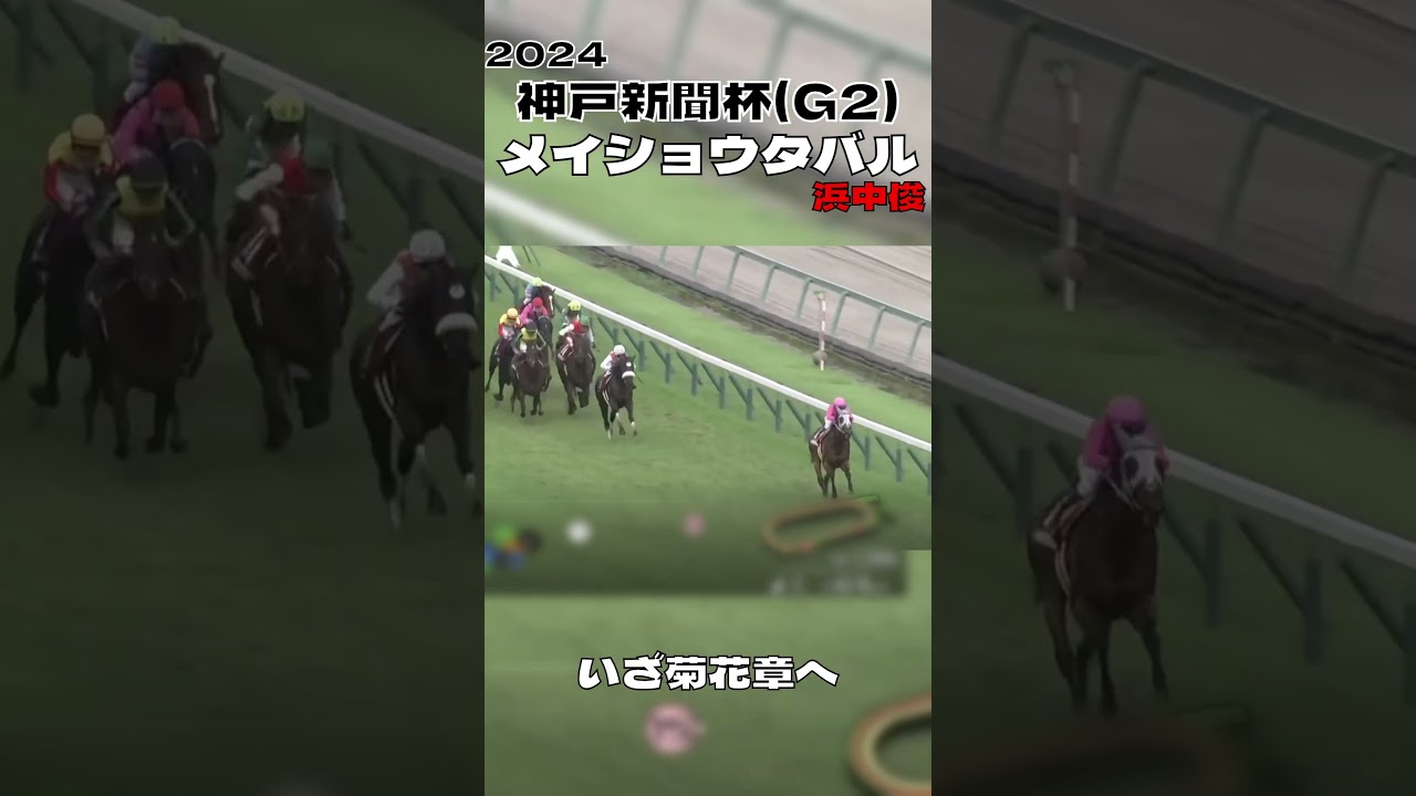 神戸新聞杯 メイショウタバル 浜中俊 逃げ切りで菊花賞出走権を獲得 2024#shorts