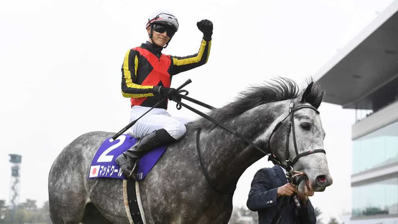 【スプリンターズS】レーティング最上位はマッドクール｜競馬ニュース｜競馬予想のウマニティ