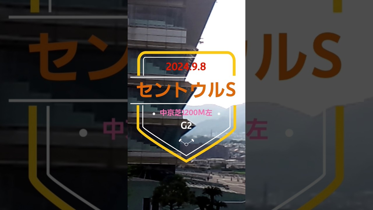 【セントウルステークス 2024】上位5頭予想！スプリンターズステークスに向けて重要な一戦！好メンバーが揃いました！