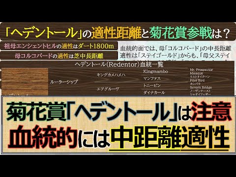 【一口馬主】ヘデントール菊花賞は要注意！血統的には中距離適性馬☆