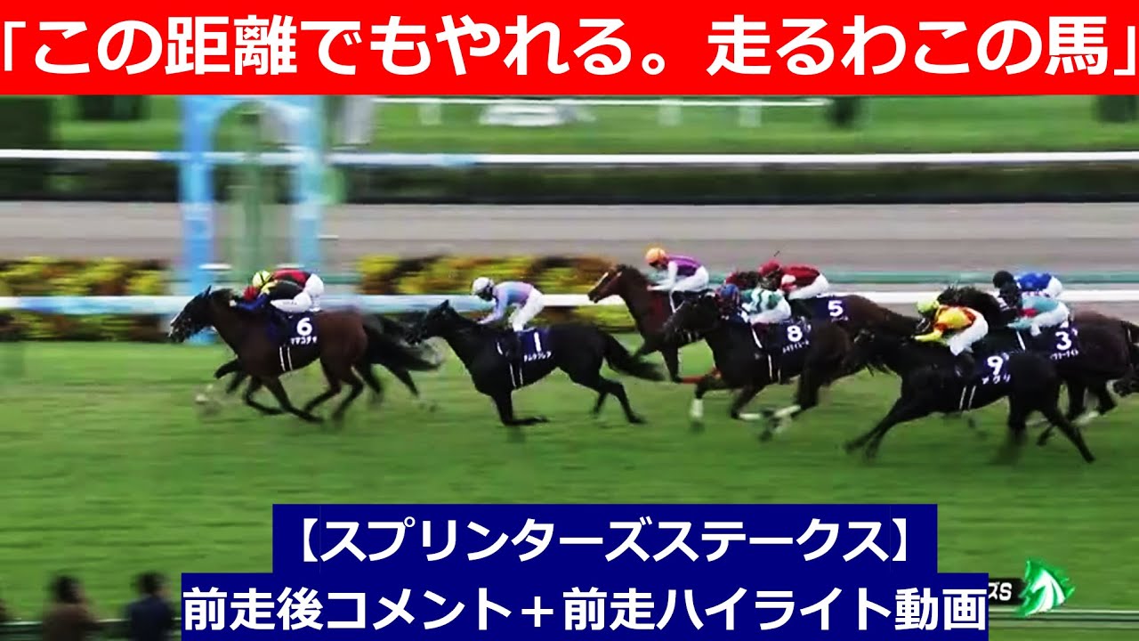 推奨馬⑤頭！【スプリンターズステークス　2024】前走後騎手コメント＋過去レースハイライト