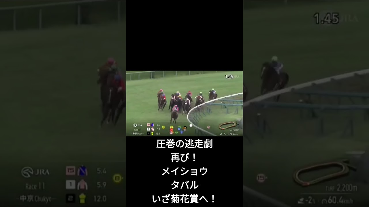 ショートで第72回神戸新聞杯(菊花賞トライアル)#shorts