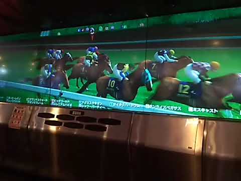 R3グランドスウォード 皐月賞