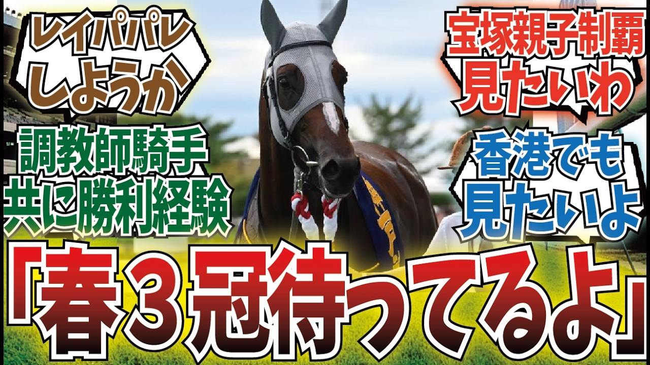 「メイショウタバルは菊花賞より○○勝ちそう」に対するみんなの反応集