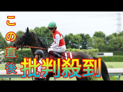 ショウナンラプンタ３着、課題の折り合いに進境　菊花賞へ「いい収穫」／神戸新聞杯 Daily news