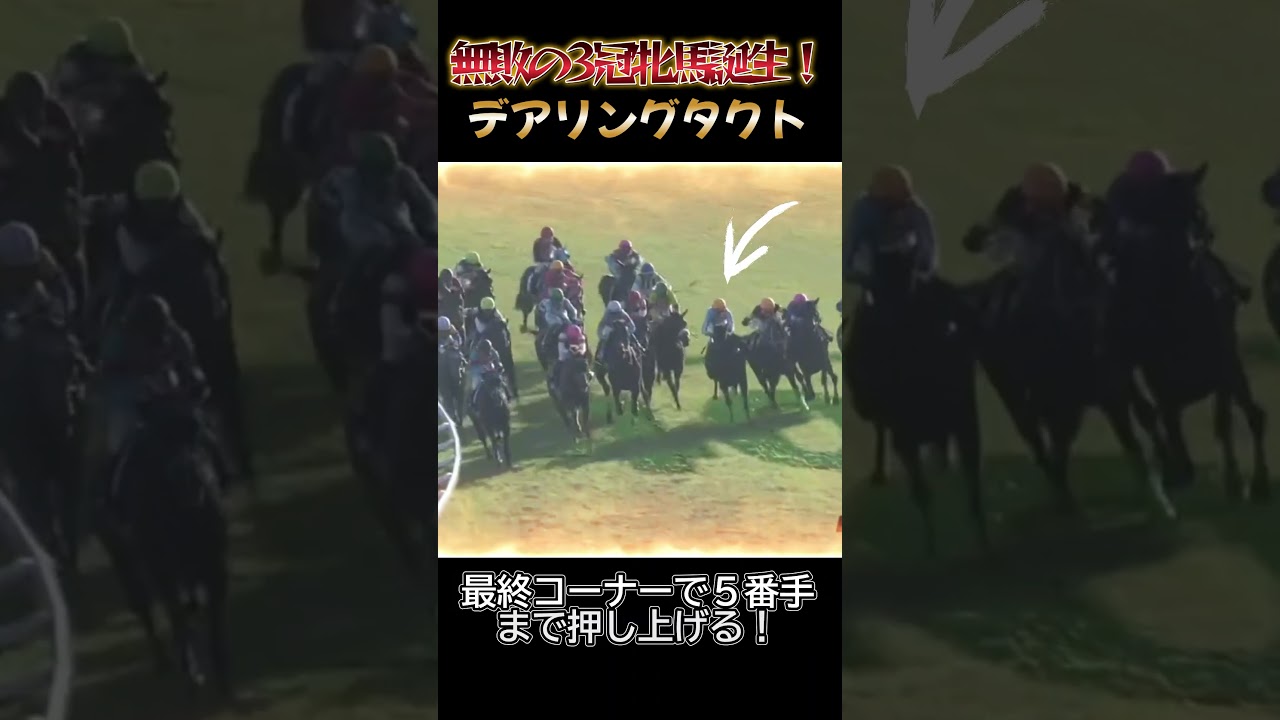 【無敗の牝馬3冠馬誕生】デアリングタクト #競馬#秋華賞#デアリングタクト
