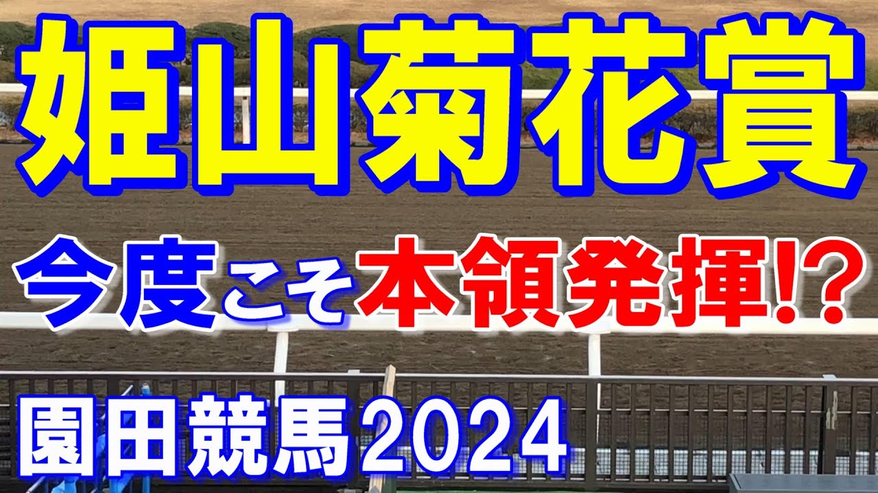 姫山菊花賞２０２４【園田競馬予想】意外と大混戦のレース！？