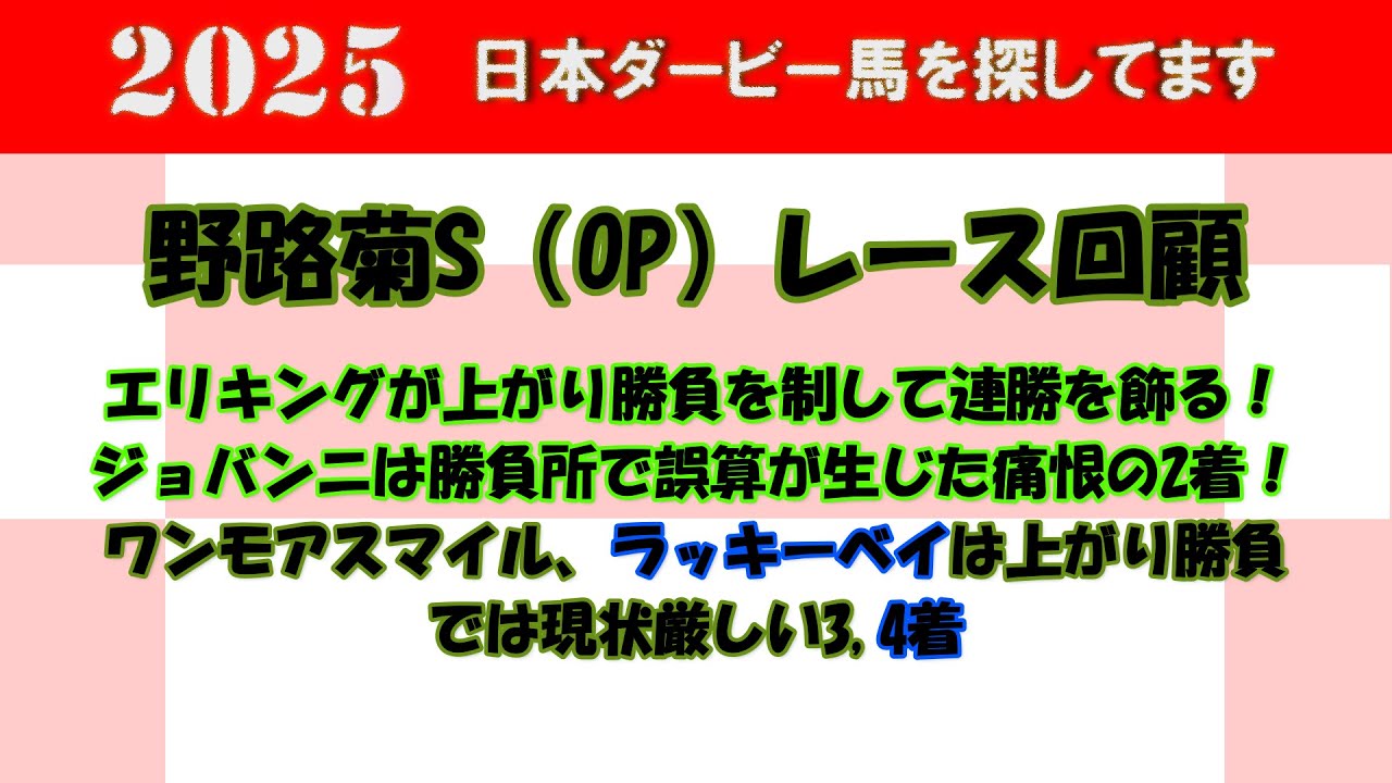 2025年日本ダービー馬を探してます #18　野路菊S（OP）レース回顧。エリキングが1人気に応えて上がり勝負を制して新馬戦から連勝を決める。