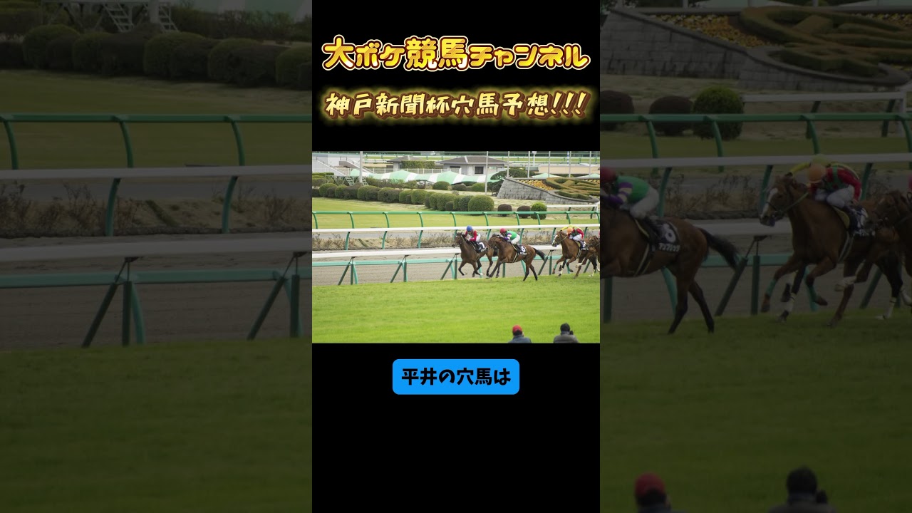 菊花賞前哨戦！秘めたる力を解き放て！　#競馬　#競馬予想　#神戸新聞杯　#中京競馬場