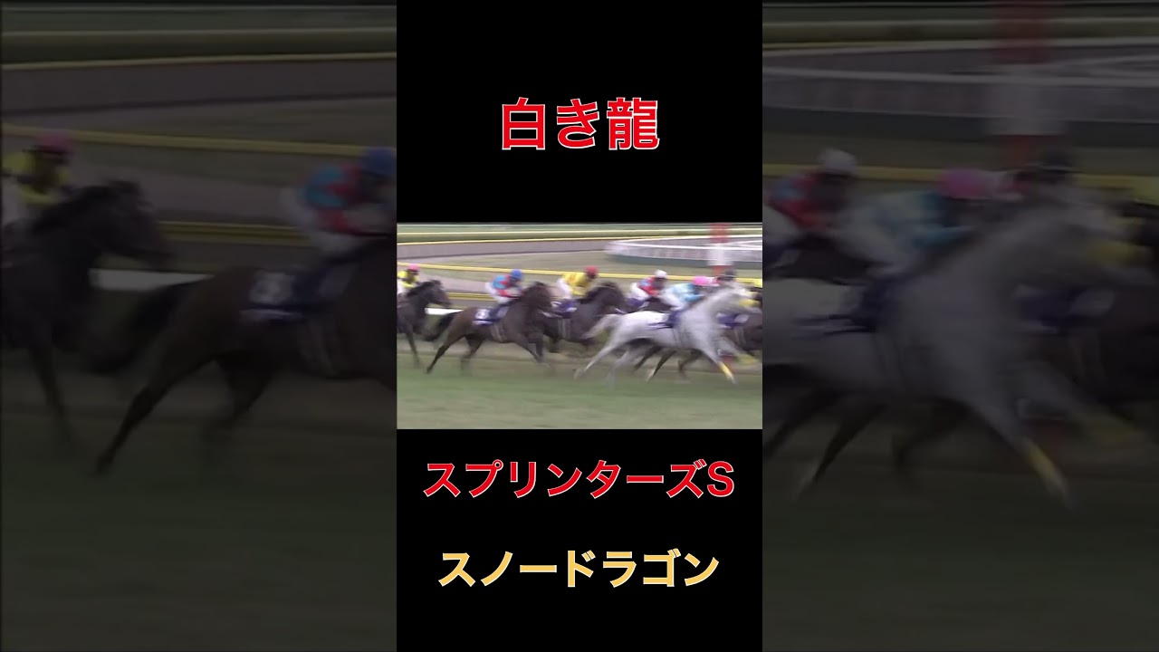 白き龍スノードラゴン【スプリンターズS】#スプリンターズS