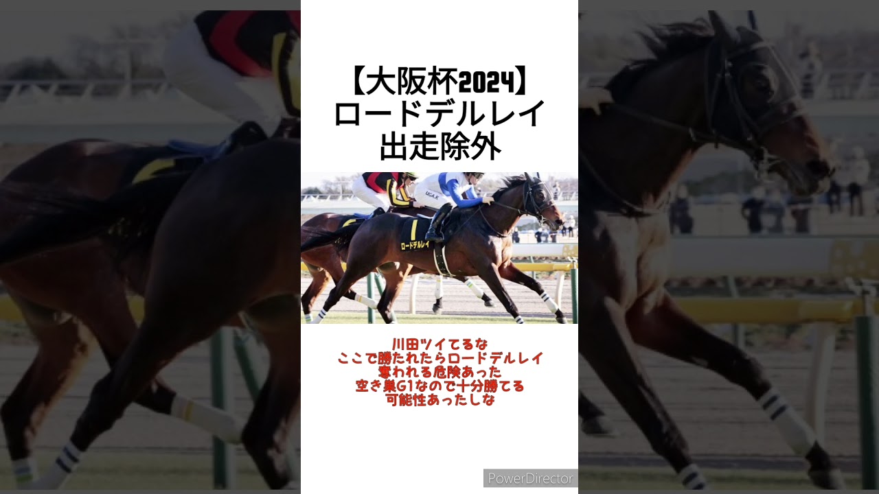 【大阪杯2024】ロードデルレイ出走除外　 #競馬