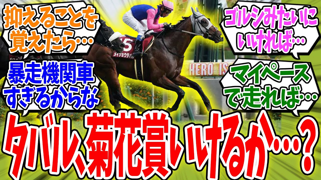 「メイショウタバルは菊花賞勝てるのか？」に対する反応集【競馬】