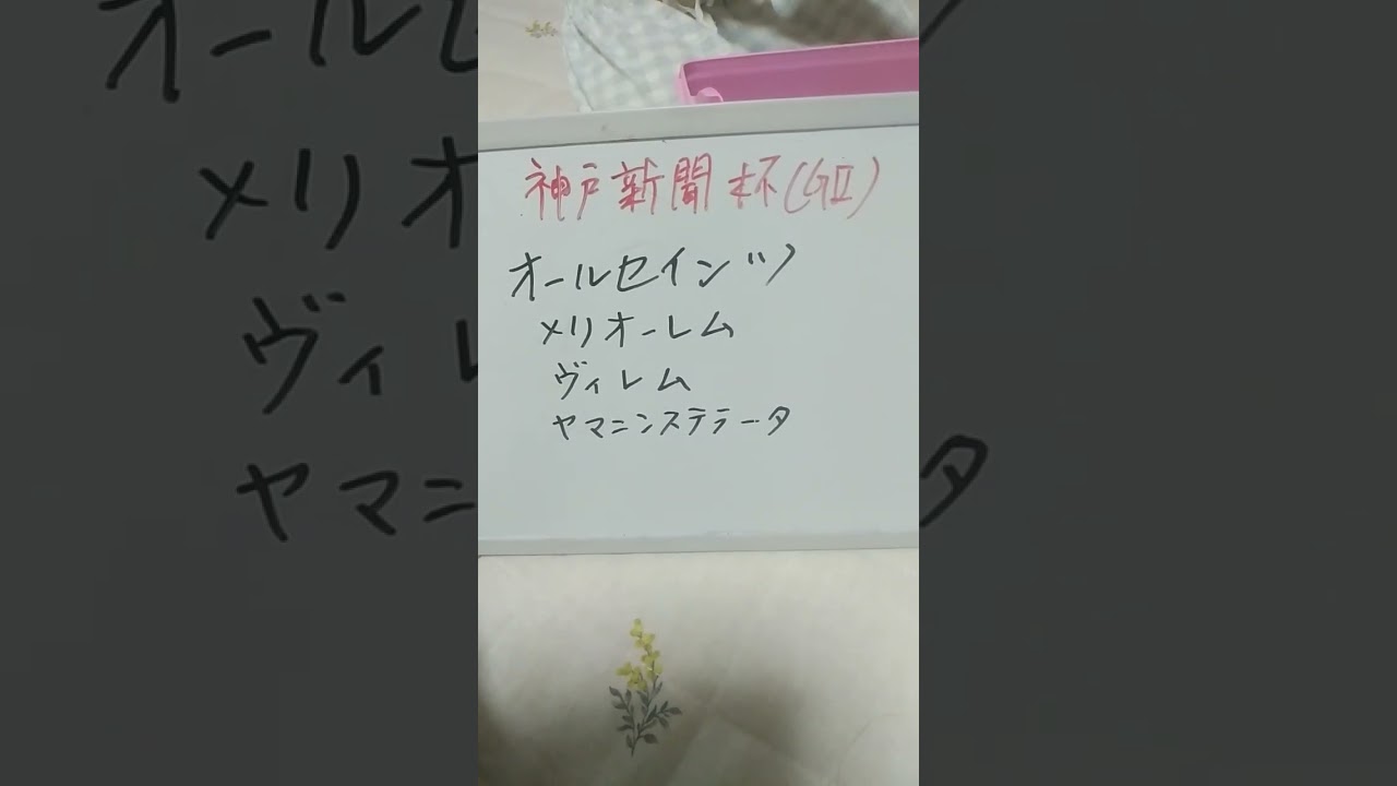 神戸新聞杯2024 菊花賞期待馬