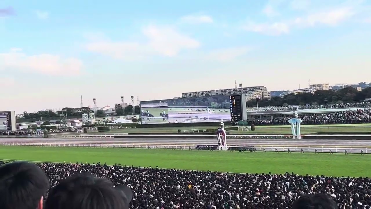 2022年天皇賞・秋 観戦