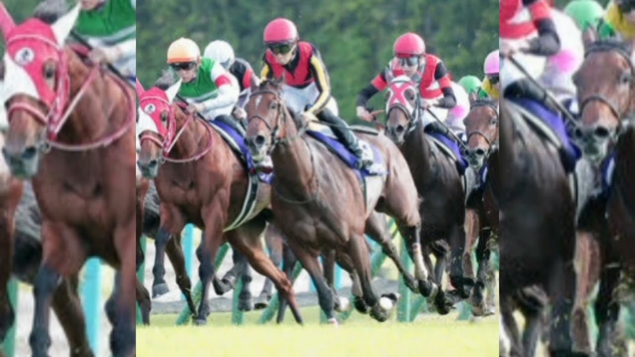 【秋華賞】2週前追い　チェルヴィニアが意欲の美浦Wコース8ハロン追い　太田助手「精神面にゆとりがある」