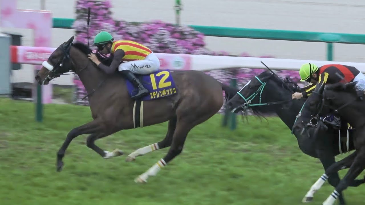 【桜花賞2024】ステレンボッシュが桜の女王に‼ 現地映像