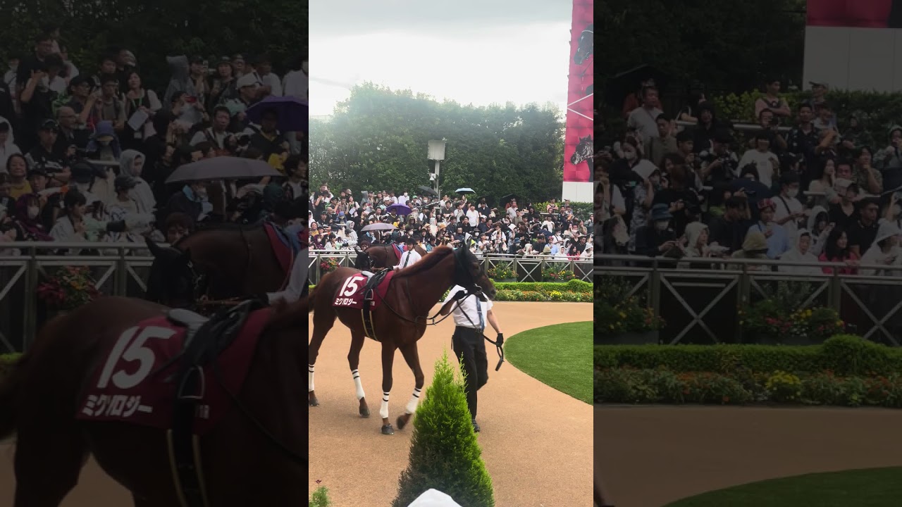 レーベンスティール、気合のテイオーステップ‼️トウカイテイオーの有馬記念と同じ中山の赤枠４番でオールカマーを制覇❗️【競馬現地映像】