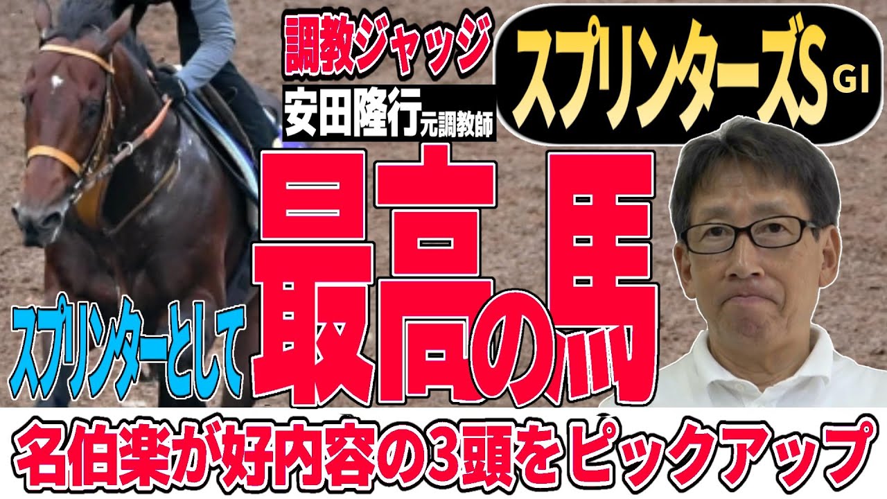 【スプリンターズS2024】安田隆行元調教師が調教ジャッジ　「動き」「時計」「調教過程」を採点しピックアップした３頭を発表！《東スポ競馬ニュース》