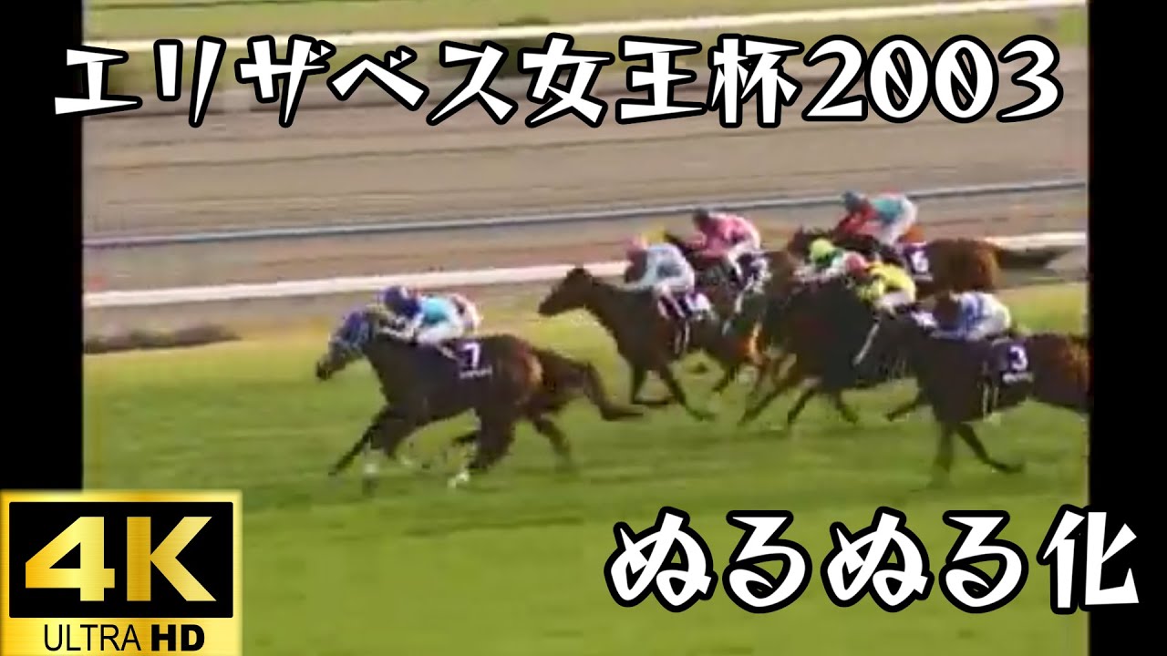アドマイヤグルーヴ エリザベス女王杯 ぬるぬる化で見よう 2003 conv to 60fps