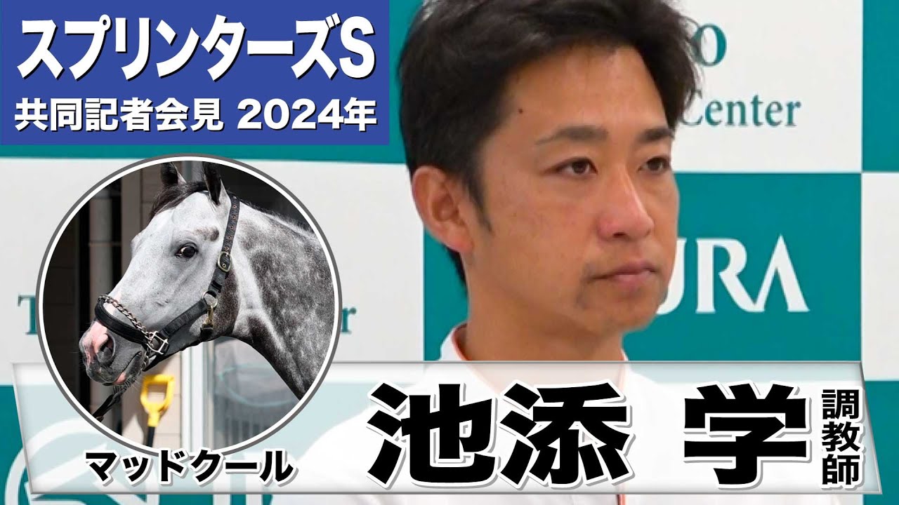 【スプリンターズS2024】マッドクール・池添学調教師「短距離馬だが精神的にどっしりしている」「当日馬体重が増えていても問題ない」《JRA共同会見》