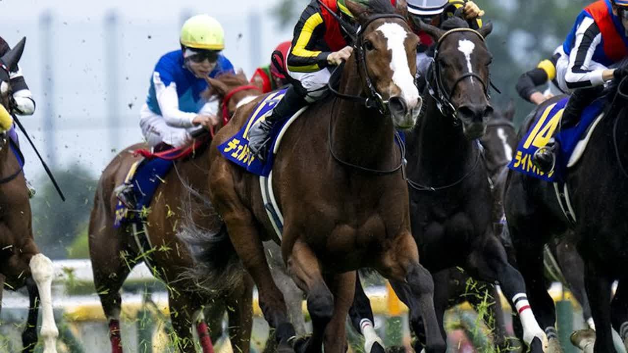 【秋華賞】2週前追い　チェルヴィニアが意欲の美浦Wコース8ハロン追い　太田助手「精神面にゆとりがある」｜競馬ニュース｜競馬予想のウマニティ