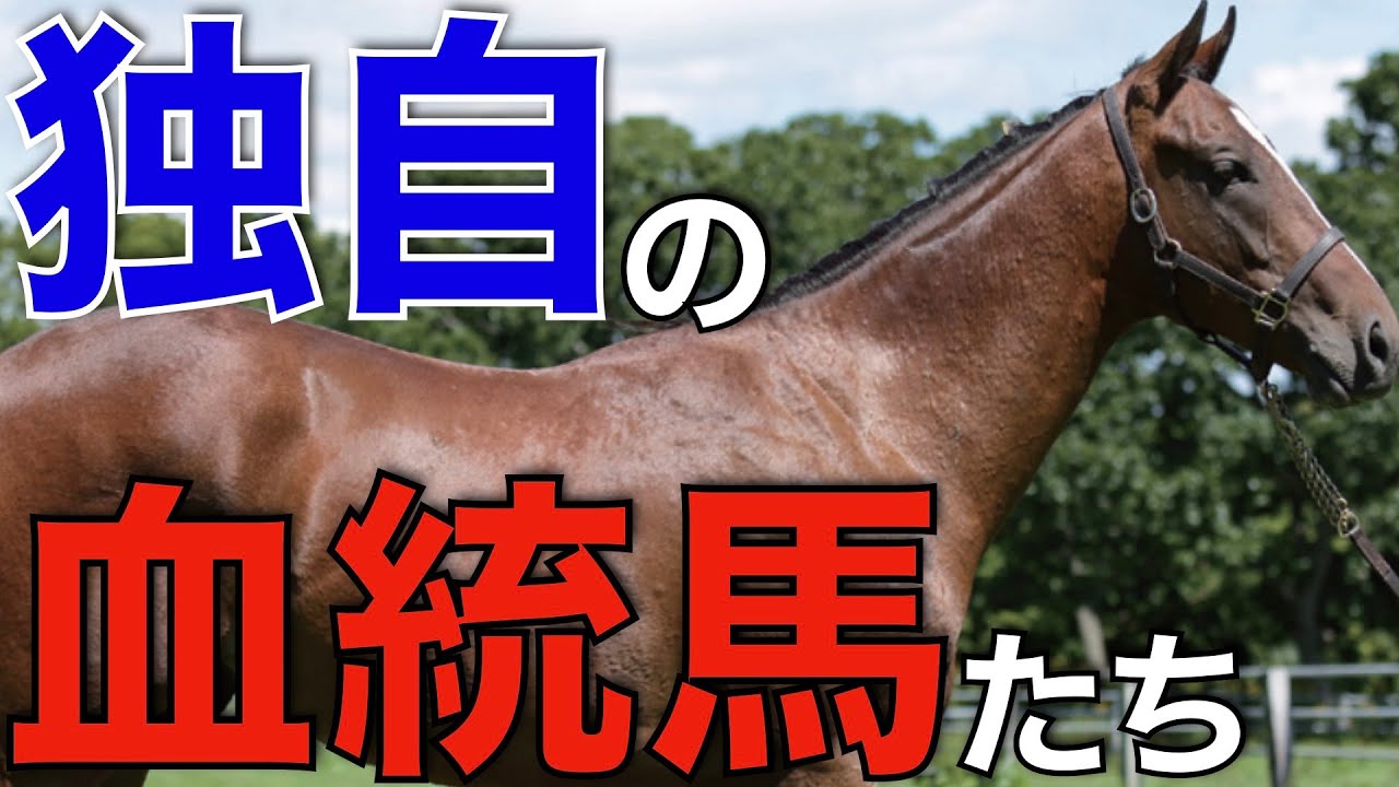 独自の種牡馬と豪華繁殖が続々登場！ロードサラブレッドの募集馬が面白い。