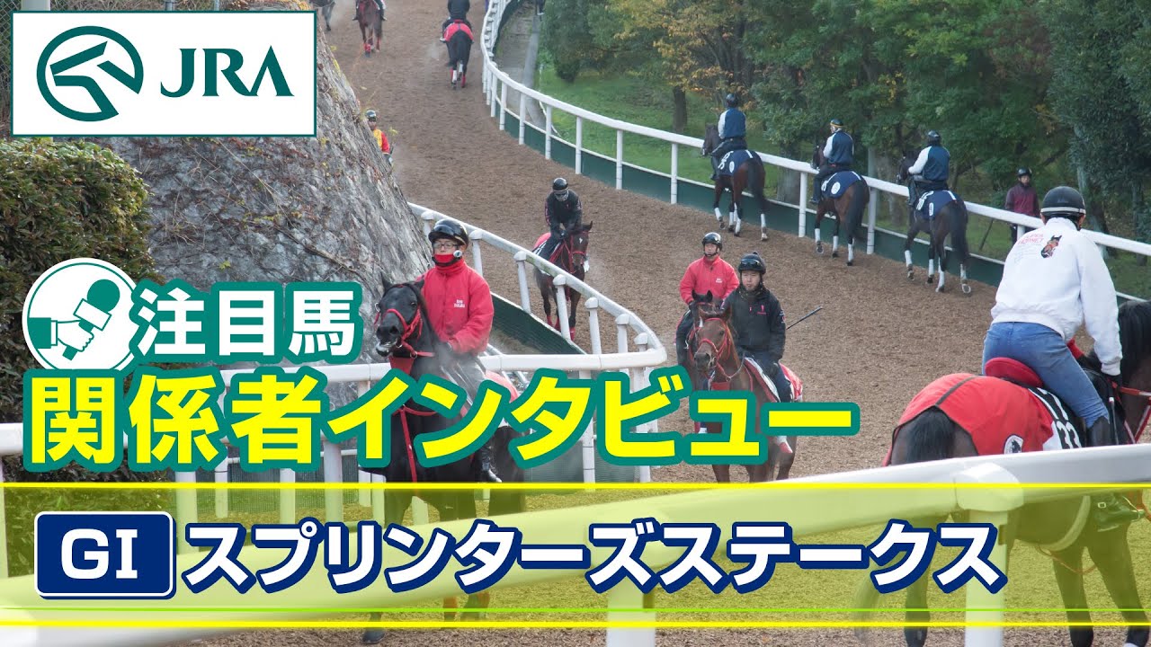 【注目馬 関係者インタビュー】2024年 スプリンターズステークス｜JRA公式