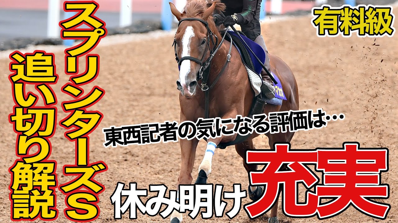 【有料級】東スポ東西記者によるスプリンターズＳ追い切り解説
